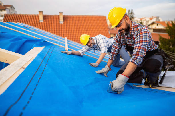 Best Shingle Roofing Installation  in Chevy Chase View, MD