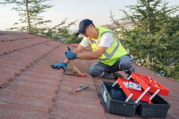 Best Residential Roofing Contractor  in Chevy Chase View, MD