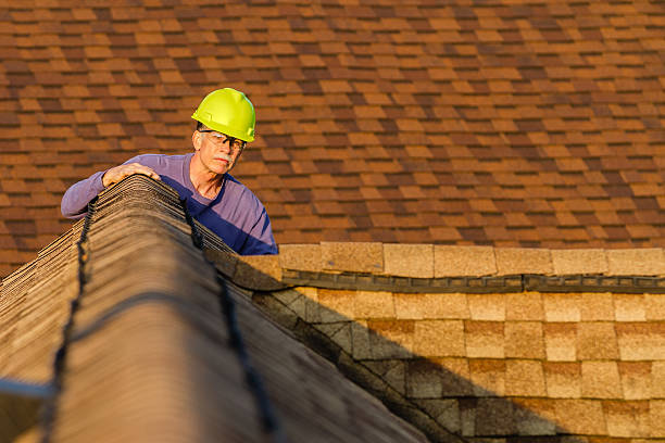 Best Local Roofing Companies  in Chevy Chase View, MD
